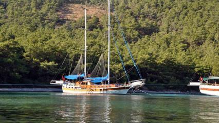 Goélette Alcatraz